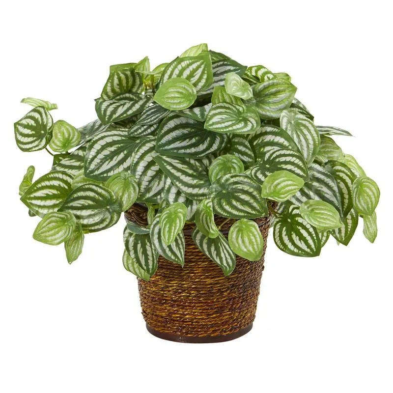 13"  Watermelon Peperomia Artificial Plant in Basket (Real Touch)