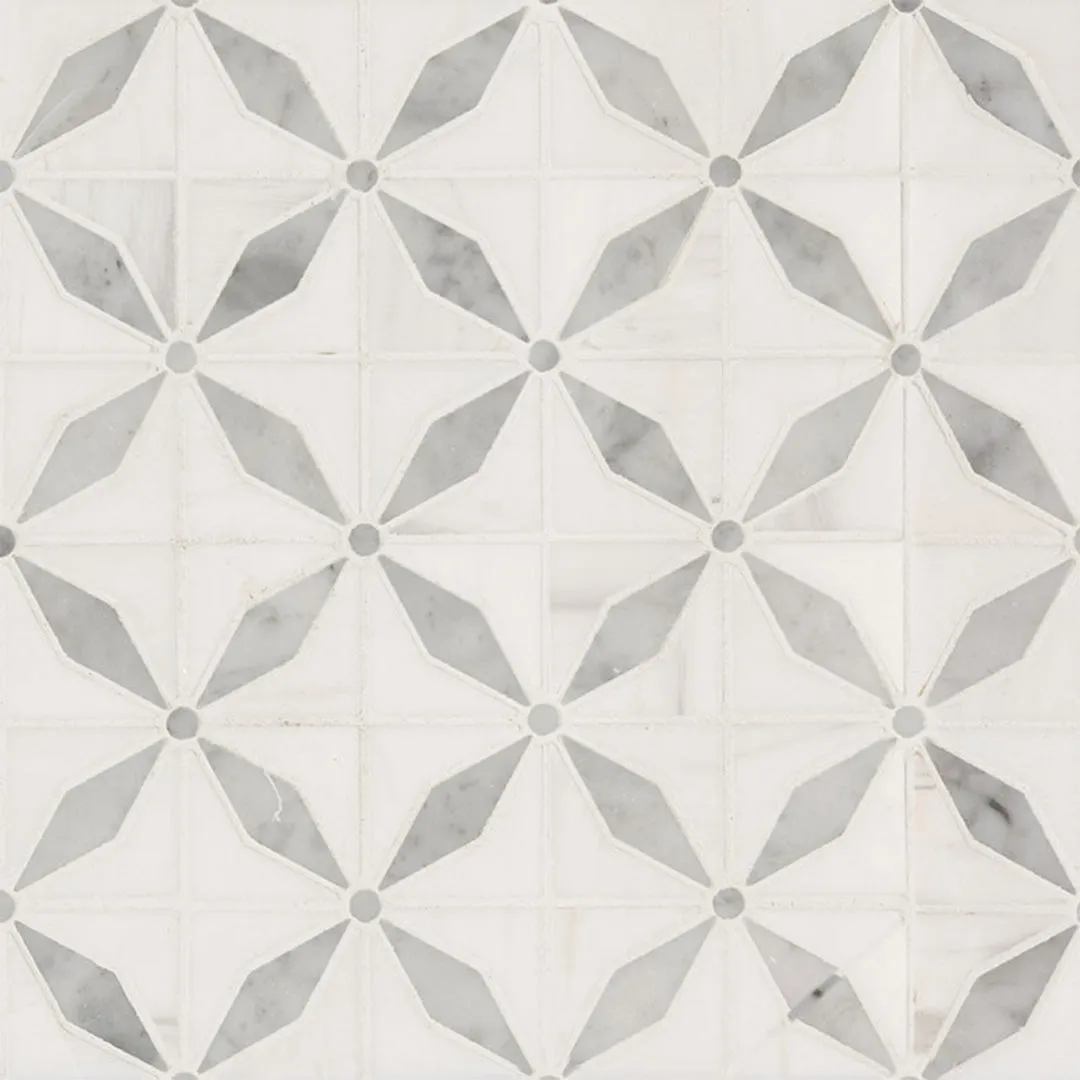 Bianco Dolomite Starlite - Stone Tile