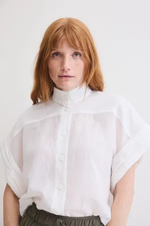 Sheer Always Chic Blouse