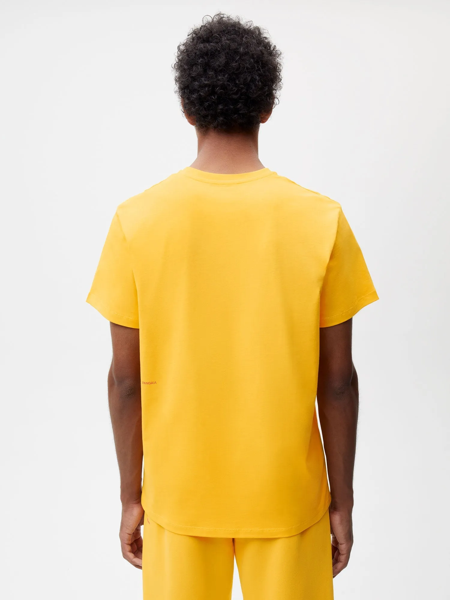 T-Shirt - Autumn Leaves—ginkgo yellow